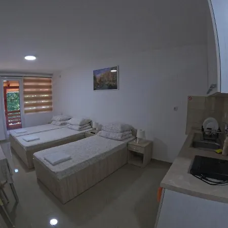 Apartment Stevanovic Bor
