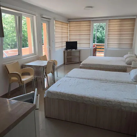 Stevanovic Apartment Bor