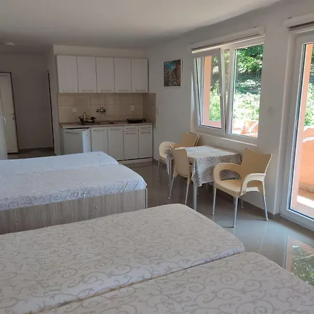 Apartment Stevanovic *